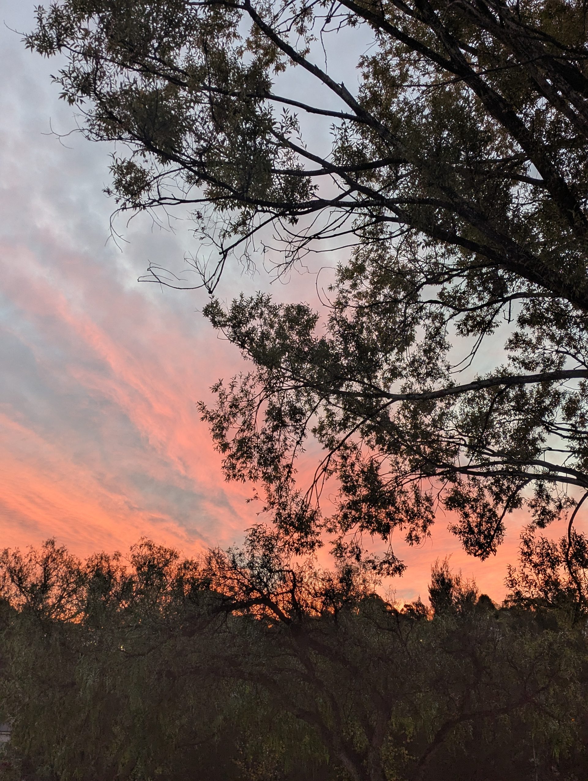Self forgiveness in grief
