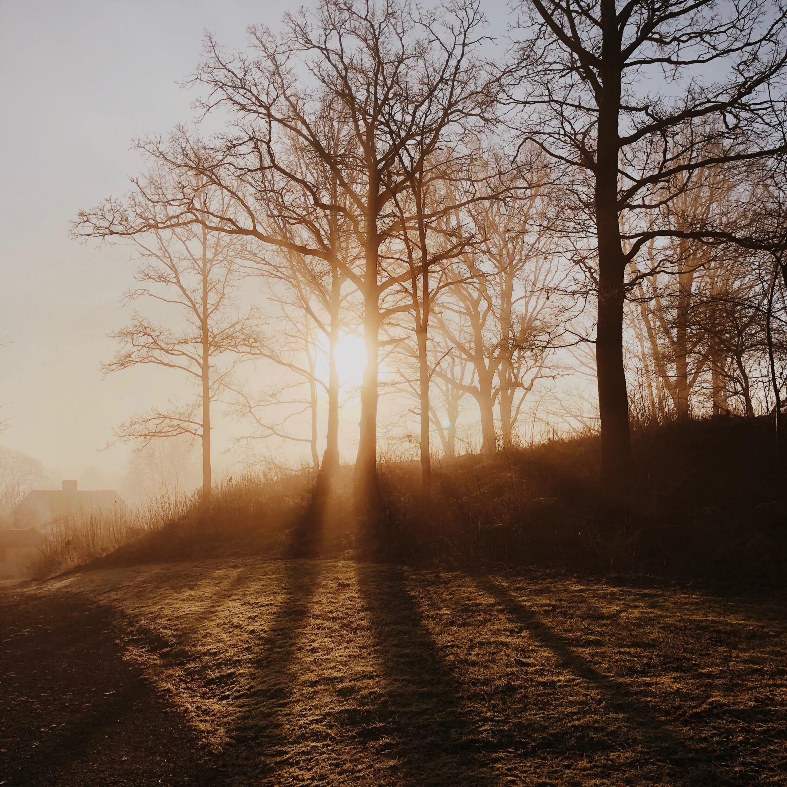 Nature, Outdoors, Sky