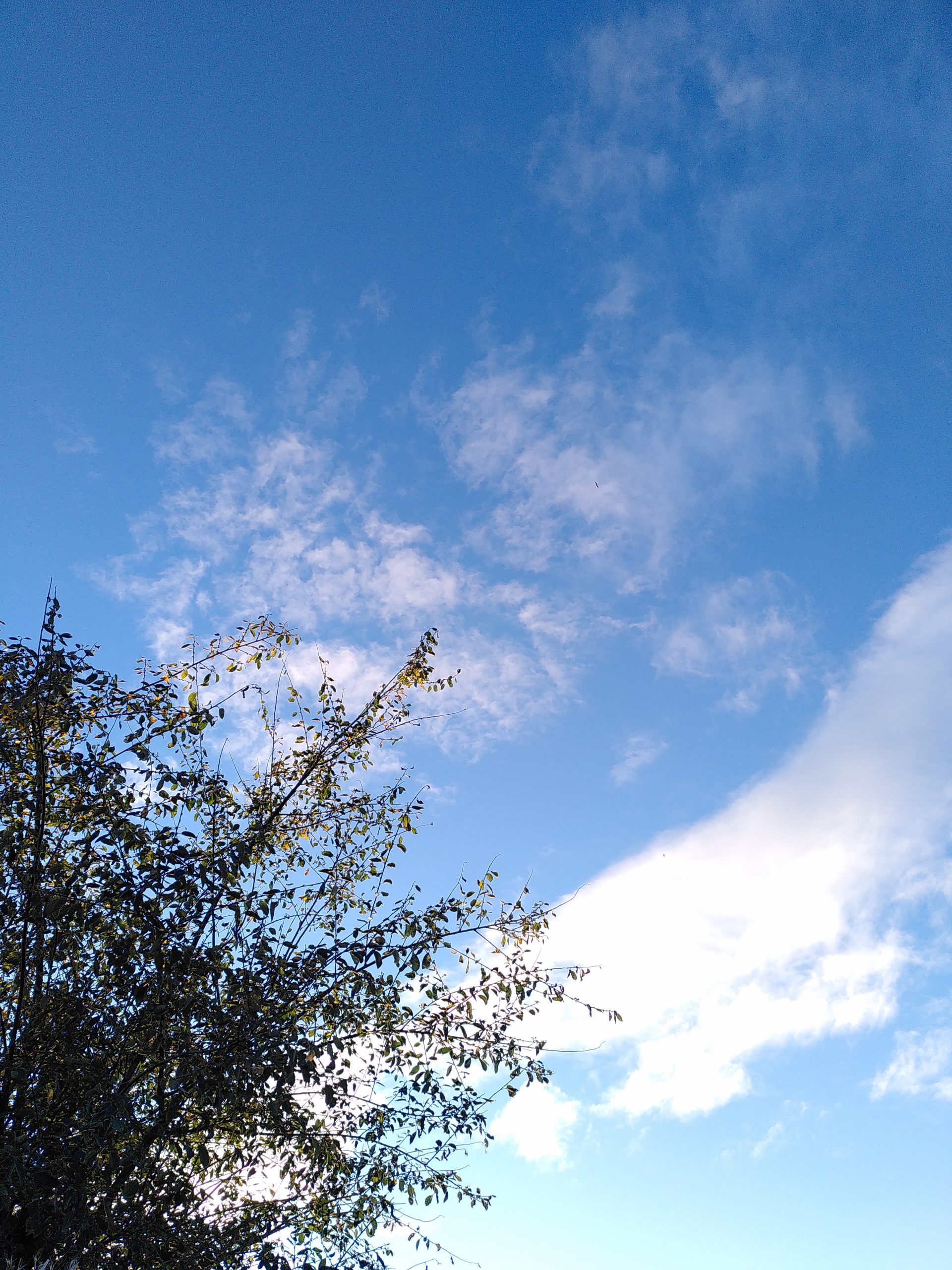 Nature, Outdoors, Sky