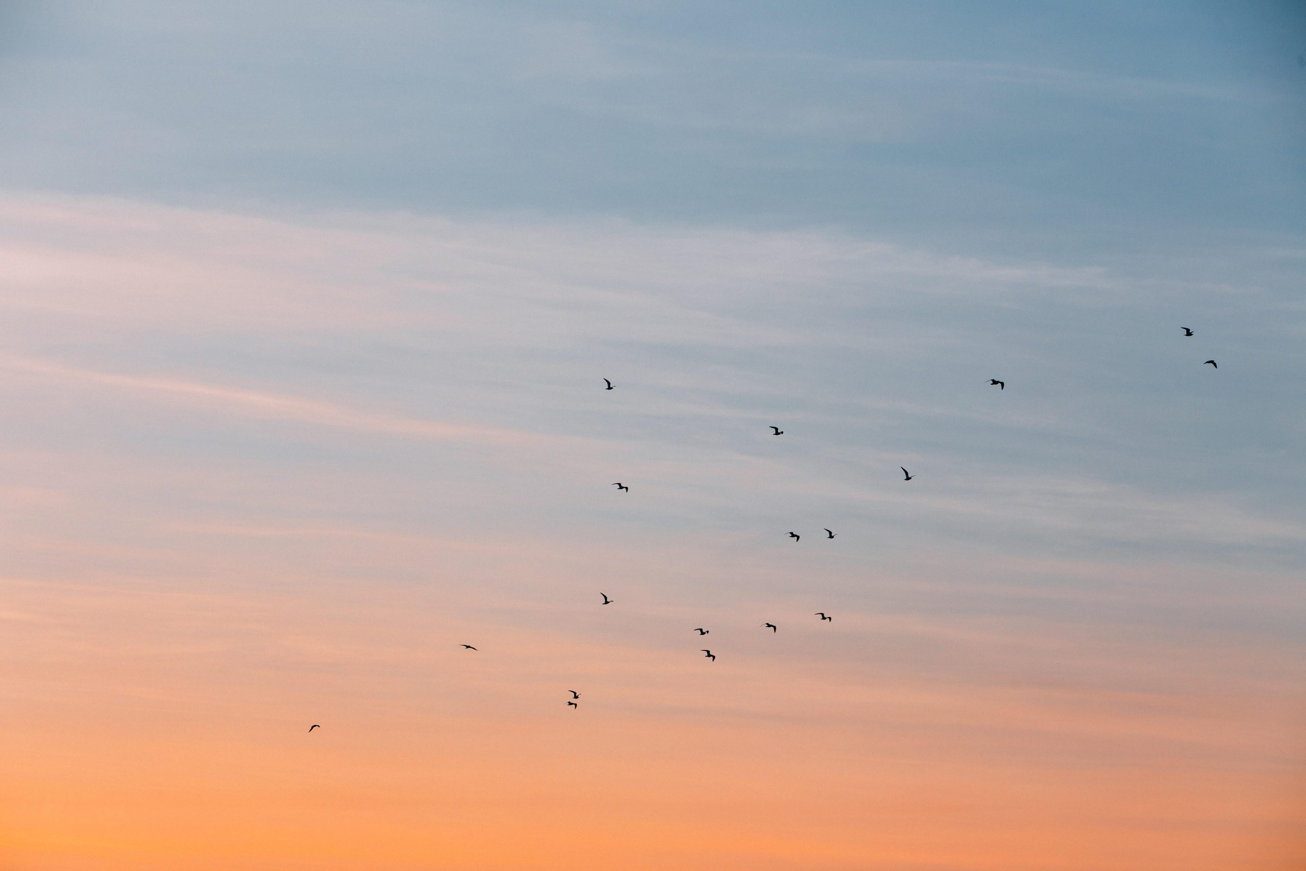 Nature, Outdoors, Sky