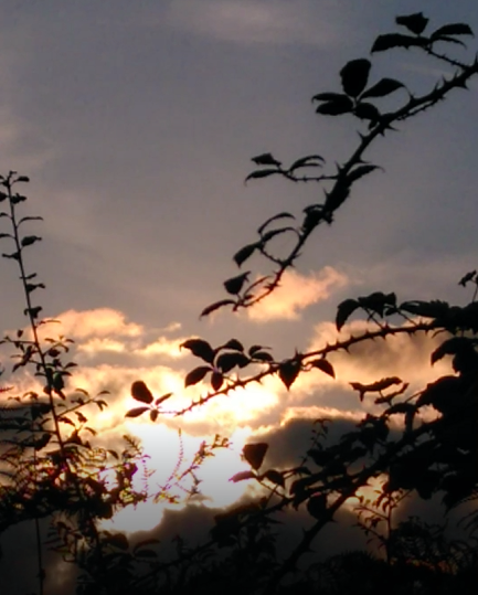 What we need from relationships can change with grief